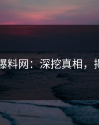 揭秘51爆料网：深挖真相，揭开谜底