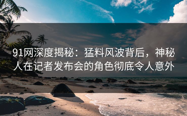 91网深度揭秘：猛料风波背后，神秘人在记者发布会的角色彻底令人意外