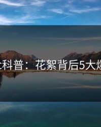 17c科普：花絮背后5大爆点