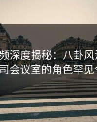 樱桃视频深度揭秘：八卦风波背后，大V在公司会议室的角色罕见令人意外