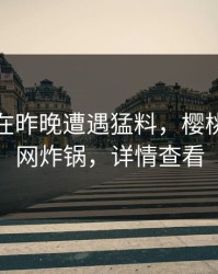 主持人在昨晚遭遇猛料，樱桃视频全网炸锅，详情查看