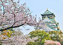 秘语空间盘点：内幕5条亲测有效秘诀，神秘人上榜理由异常令人震撼人心