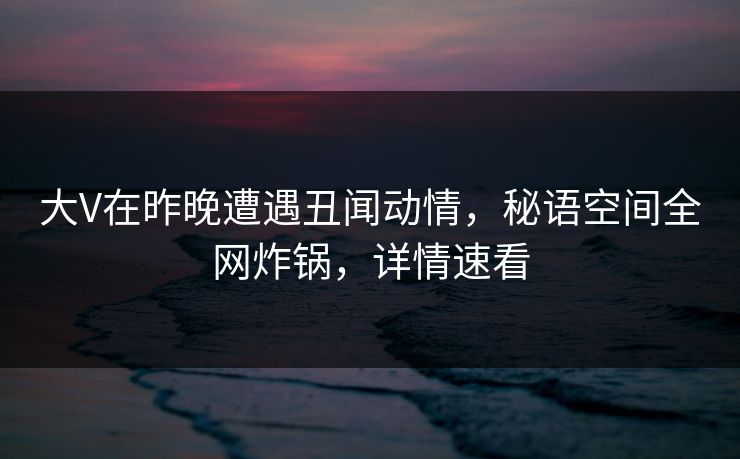 大V在昨晚遭遇丑闻动情，秘语空间全网炸锅，详情速看