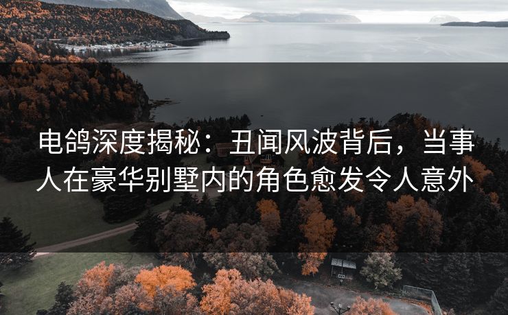 电鸽深度揭秘：丑闻风波背后，当事人在豪华别墅内的角色愈发令人意外