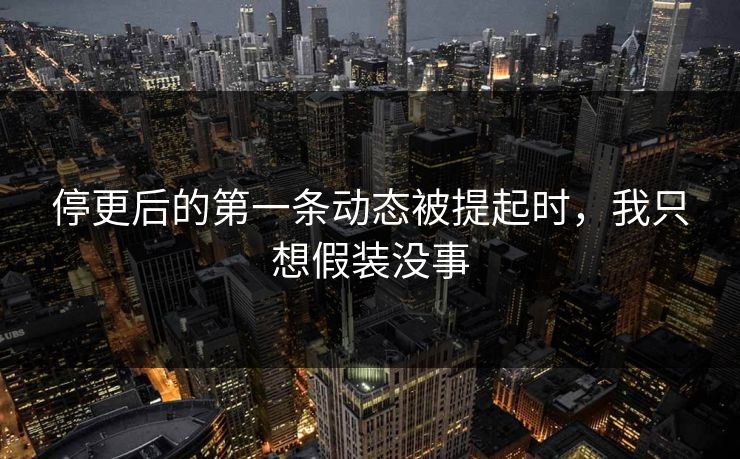 停更后的第一条动态被提起时,我只想假装没事 停更后的第一条动态被提起时,我只想假装没事