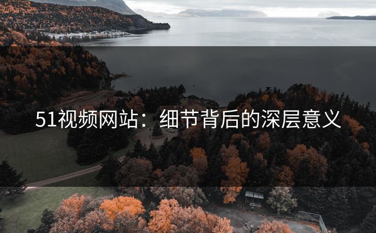 51视频网站:细节背后的深层意义 51视频网站:细节背后的深层意义
